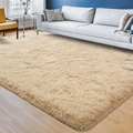 Tapete Felpudo 3,00 x 2,00 Super Luxo para Sala – Macio e Antiderrapante