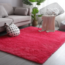 Tapete Felpudo 3,00 x 2,00 Super Luxo para Sala – Macio e Antiderrapante