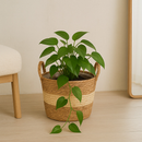 Cesto de Palha Cachepot Decorativo com Alça de Sisal para Plantas e Decoração Boho